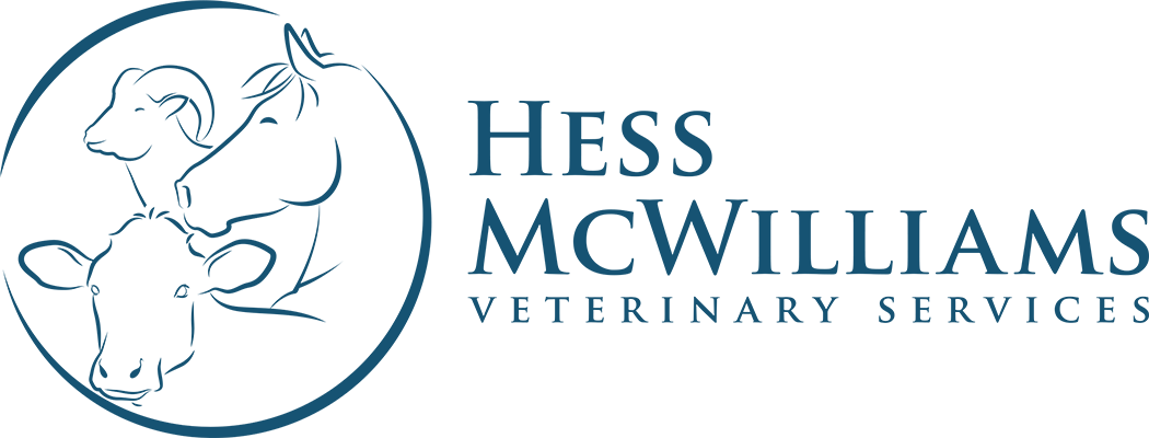 Hess McWilliams